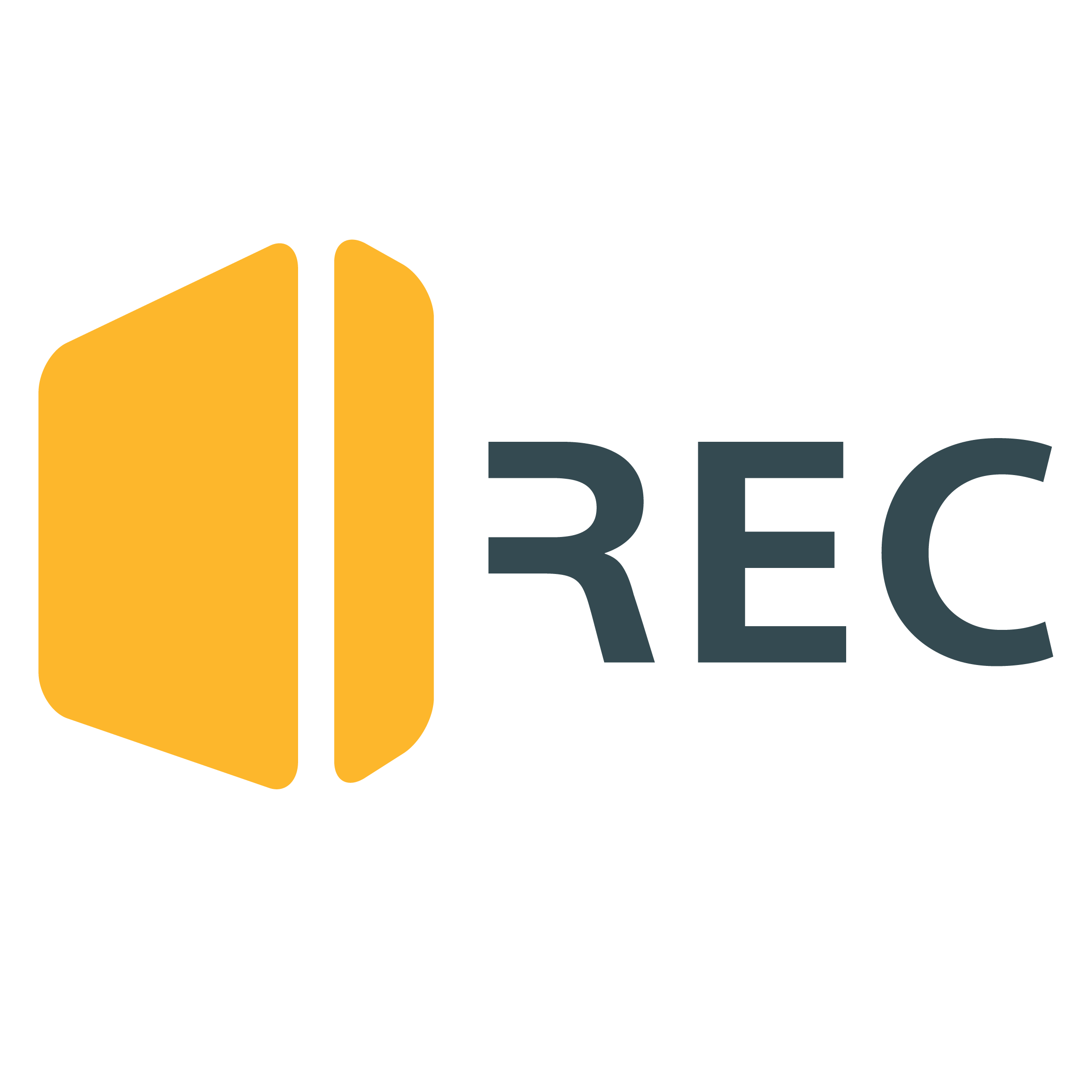 REC Immpuls logo